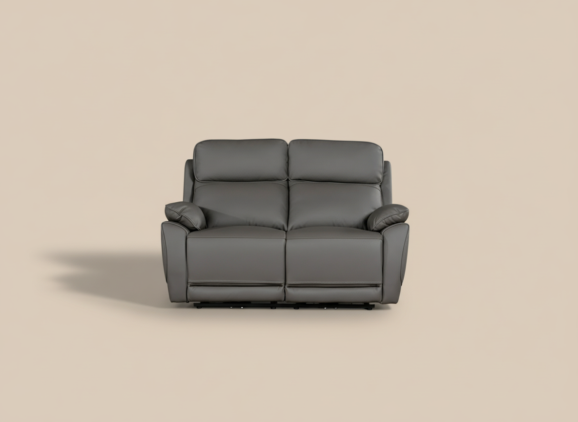 Electro Robin Genuine Leather Recliner