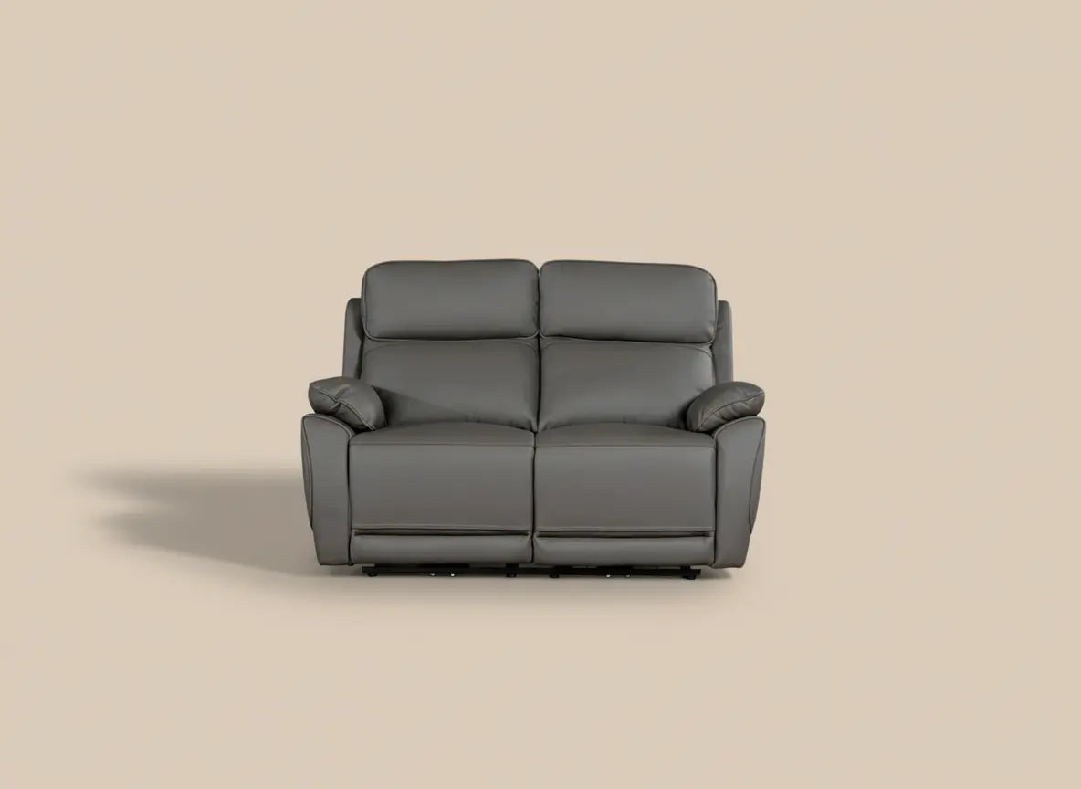 Electro Robin Genuine Leather Recliner